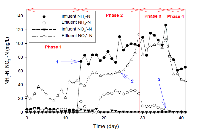 연속반응기의 유입수와 유출수의 NH3-N와 NO3-N