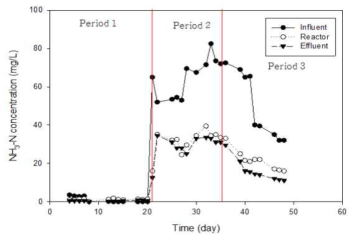 시간에 따른 연속 반응조 NH3-N 농도 변화