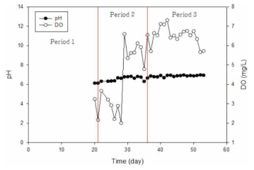 시간에 따른 연속 반응조 pH 및 DO 농도 변화