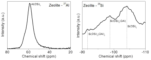 Zeolite의 Solid State NMR 측정 결과