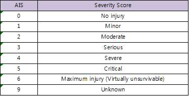 상해심도에 따른 점수