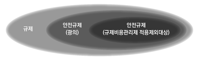 안전규제의 범위