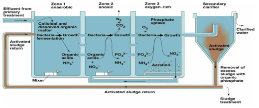 Biological Nutrient Removal Process, BNR