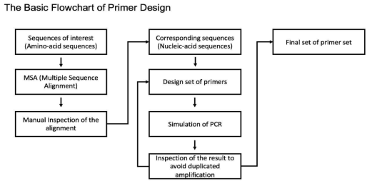 프라이머 및 프로브 디자인을 위한 Overview process