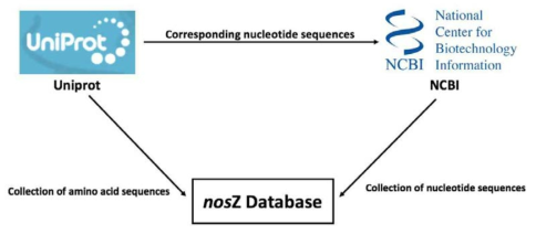 nosZ 시퀀스 데이터베이스 구축 모식도