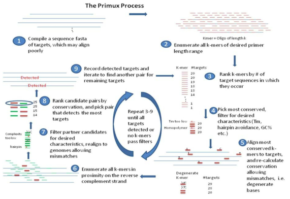 프로그램 Primux에서 사용되는 alignment외의 방법을 통한 프라이머 및 프로브 디자인 알고리즘