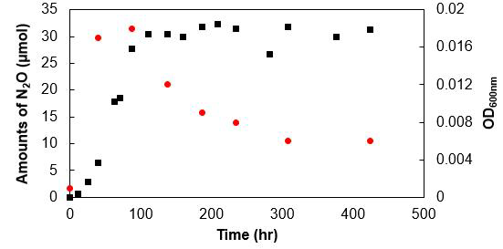 pH 8.0 조건에서 Dechloromonas aromatica의 OD600nm (red circle) N2O (black square) 발생량 그래프