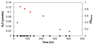 Control media(0.05% NaCl)의 OD600nm (red circle)와 N2O (black square) 발생량 그래프