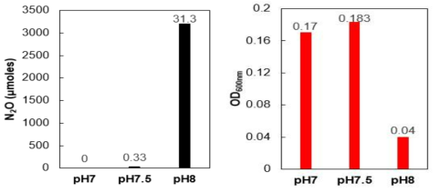 pH 7, 7.5, 8 조건에서 Dechloromonas aromatica의 최대 N2O 발생량 그래프 (좌) 와 최대 성장량(OD600nm)을 나타낸 그래프 (우)