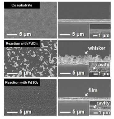 PdCl2 및 PdSO4 전구체를 이용하여 갈바닉 치환반응을 진행하기 전 후 전자현미경 분석 결과.