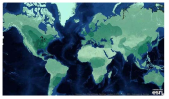 Global distribution of frequency and severity of tornadoes