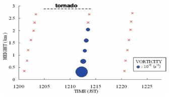 The evolution of the vorticity (vortex signature) as a function of time.