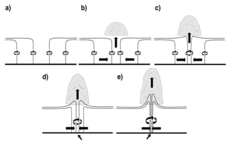 Tornado formation process amplified by convergence alone beneath an updraft