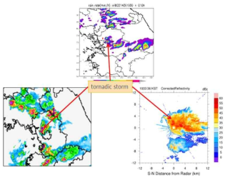 Rain rate from LDAPS data (upper panel), compare with radar data (lower panels).