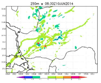 Vertical velocity at 250m by WRF simulation.