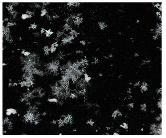 Photograph example of snowflake on collection plate