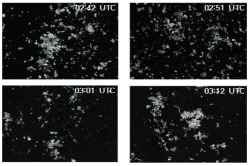 Picture of snowflake on collection plate: 02:30 ~ 03:15 UTC.