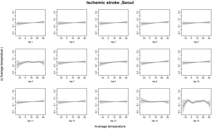 Ischemic stroke발병과 기온의 Lag1~15