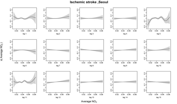 Ischemic stroke발병과 이산화질소의 Lag1~15