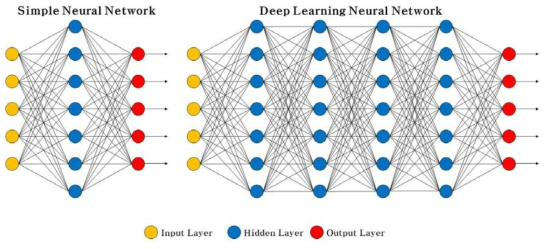 Simple Neural Network과 Deep Neural Network
