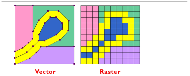 Vector map & Raster map