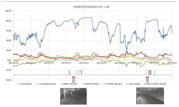 TESTBED 기상관측자료(2017.2.19.~2.28)