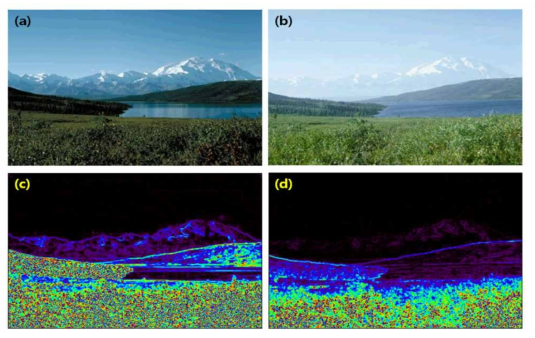 (a) 비교적 맑은 조건의 경관 사진. (b) 같은 지점에서 연무가 있을 경우 의 사진. (c) 정규화된 3x3화소 표준편차를 계산한 결과를 그린 영상. (d) 그림 b 의 경우에 대해 그림 c와 같은 계산을 한 결과를 보여주는 영상.