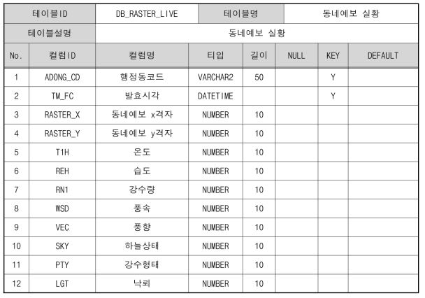 DB_RASTER_LIVE 테이블