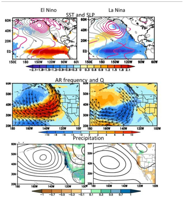 엘니뇨 (왼쪽)와 라니냐 (오른쪽) 북반구 겨울철 (DJF) 평균 (top) 해수면 온 도 (shading)와 해면기압 (contour) 아노말리, (middle) AR빈도수 (days per winter) 와 수분플럭스 (vector, kg m-1 s-1) 아노말리, (bottom) 강수량 (shading, mm/day)과 Z500 anomaly.