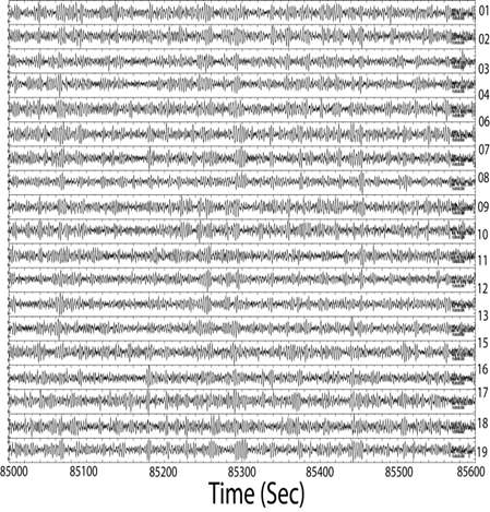 Example of microseismic seismograms. During the typhoons, KSRS had recorded microseisms raiated from the typhoons.