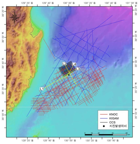 Locations of seismic profiles used in this study.