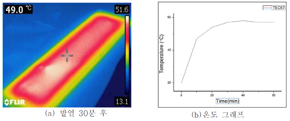 상온에서의 발열 30분 후 발열 사진.