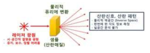 레이저 광 산란을 이용한 기존의 나노급 입도 분석기의 개략도