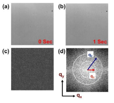 Polystyrene (100 nm) 나노입자가 분산된 1 wt% 수용액의 실 공간 이미지 영상(63x, NA=0.7).