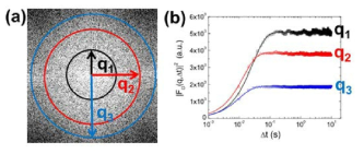 (a) D(x,y,;∆t)의 2차원 퓨리에 변환 값의 azimuthal scan 개념도. 중심에서 떨어진 거리가 산란각에 해당. 한 영상에서 다각 (Multi-angle) 산란 정보 포함 (b) azimuthal scan값의 절대치 (FD(q,Δt)| 2)증가량을 표현.