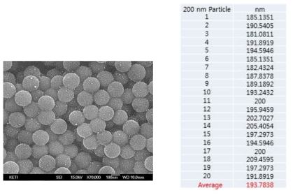 200 nm particle SEM 분석 결과