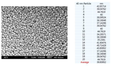 40 nm particle SEM 분석 결과