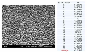 50 nm particle SEM 분석 결과