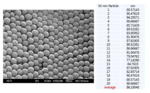 90 nm particle SEM 분석 결과