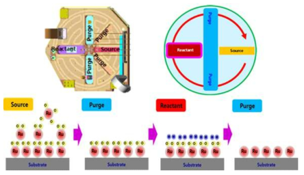 Space Divided ALD Process Mechanism.