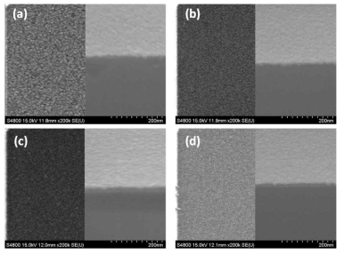 다양한 하부전극에 제작한 Ru 박막 표면의 SEM 이미지.