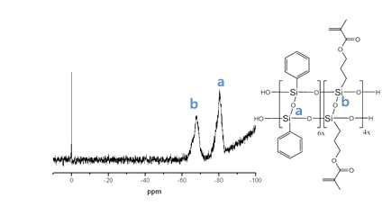 LPMASQ64의 29Si NMR 분석 결과