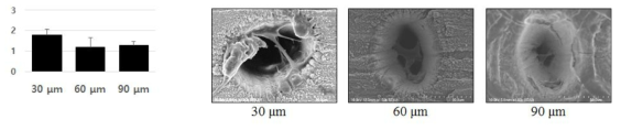 레이저 패터닝 형상에 따른 Ti 표면의 세포 성장 양태 (깊은 홀: 7500 shot)
