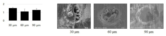 레이저 패터닝 형상에 따른 Ti 표면의 세포 성장 양태 (얕은 홀: 250 shot)