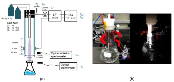(a) 액상플라즈마 반응기 개략도 및 (b) 구축 반응기 실험 사진.