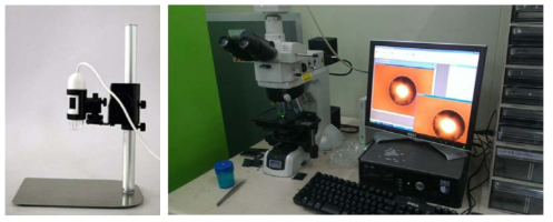 솔더볼 크기의 측정 현미경 사진(X20)
