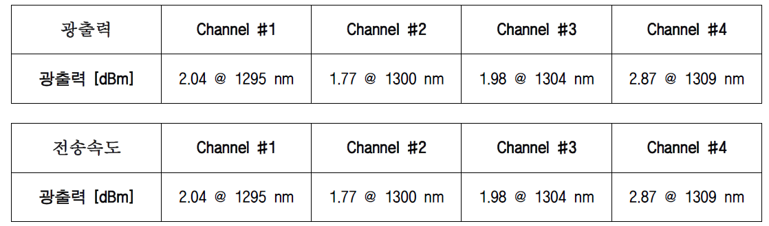 광출력 및 전송속도 시험 결과