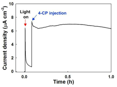 4-CP 주입에 따른 광전류 변화 (실험 조건: cathode 부분에 10mM의 NaF 사용, 다른 조건의 물산화에 의한 광전류 생산과 동일)