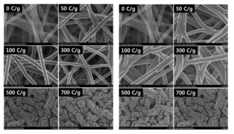 (좌) FeOOH/탄소나노섬유, (우)Fe2O3/탄소나노섬유의 전자현미경 이미지.