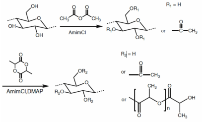 Synthesis of CA-g-PLA by “one-pot” process in AmimCl.